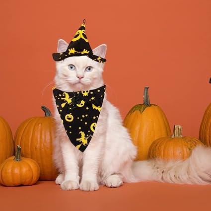 Towowl Cat Disfraces de Halloween 4 piezas Disfraces de gato solo para ...