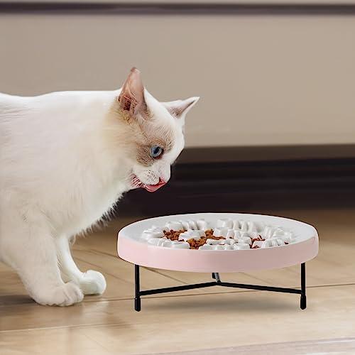 LETAOTAO Cat Slow Feeder Bowl Raised Cat Bowls Ceramic for Slow