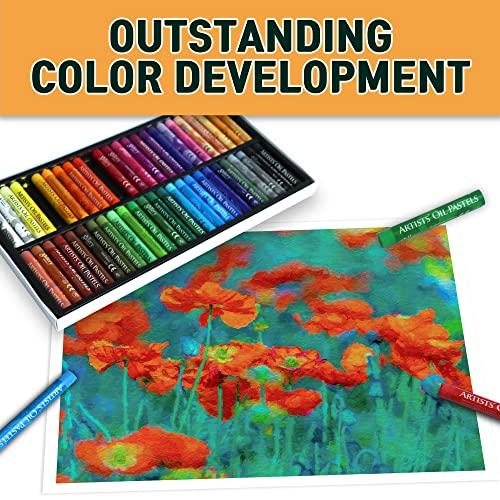 HA SHI ha shi soft oil pastels (50 sticks, 48 colors) art supplies for  artist, gallery oil painting stick, classroom set, profession