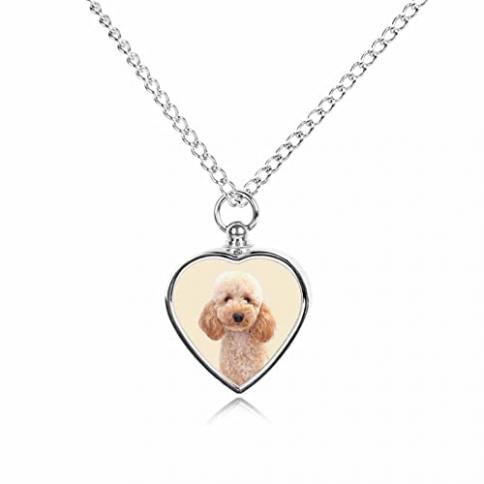 CatDog Urn Necklace for Ashes Sterling Silver Pet India | Ubuy