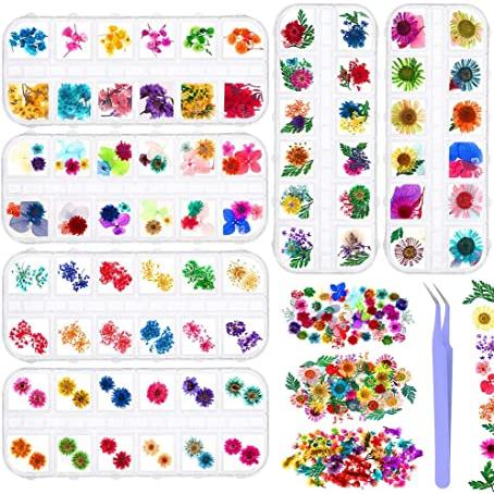 6 cajas de flores secas para decoración de uñas, Audab 190 piezas de flores  secas para uñas, mini flores de resina para decoración de resina para  decoración de uñas : Precio Guatemala