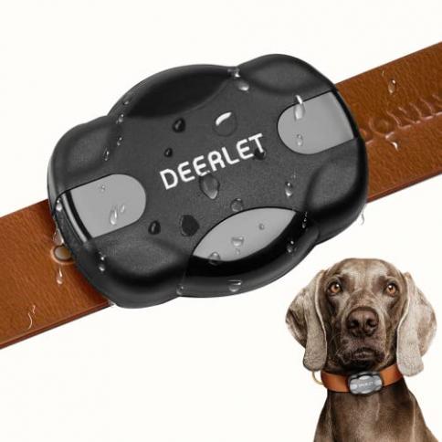 Airtag Collar de perro, 100% impermeable, integrado Apple AirTag collar de  perro reflectante, collar de perro GPS con carcasa rígida de soporte para  PC AirTag para perros pequeños, medianos y grandes 