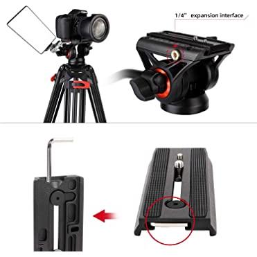 Trípode resistente, Trípode de vídeo para cámara con tubo doble de  aluminio con cabezal fluido, 74,4 pulgadas, Carga máxima 17,6 libras, para videocámara Canon Nikon Sony DSLR