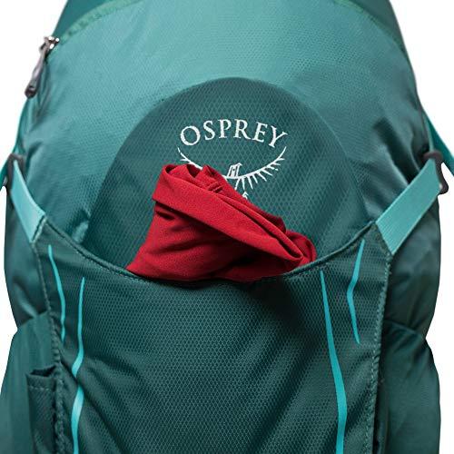 Osprey Hikelite 26 Hiking Backpack , Aloe Green Precio Guatemala