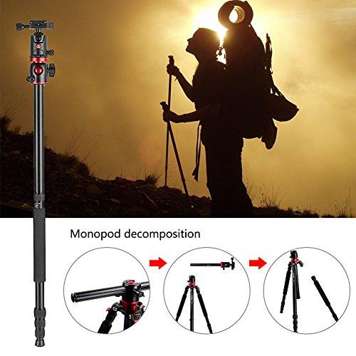 Zomei Camera Tripod Portable Magnesium Aluminium Monopod 4 Section