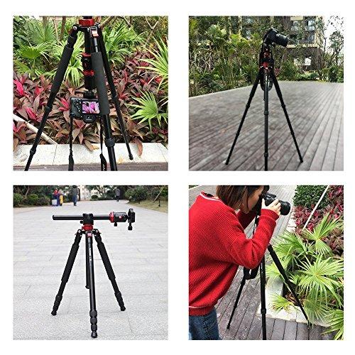 Zomei Camera Tripod Portable Magnesium Aluminium Monopod 4 Section