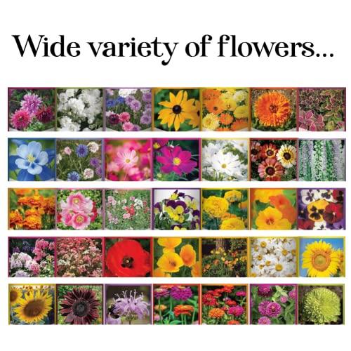  Flower Seeds Packets for Planting 35 Individual