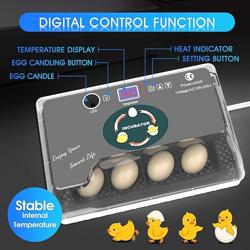HOWOOIUA 12 Egg Incubator - Automatic Egg Turner, Temperature Control, Built-in Candler, Auto Water Refill for Hatching Chicken, Duck, Quail  Bird Eggs