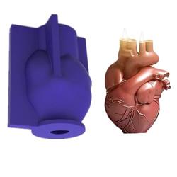 Organ Heart Mold for Candles, Soap, Chocolate, Resin, Gummy, Sugarcraft, Candy, Cupcakes - Kitchen Baking and Decorating Mould