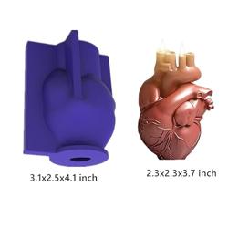Organ Heart Mold for Candles, Soap, Chocolate, Resin, Gummy, Sugarcraft, Candy, Cupcakes - Kitchen Baking and Decorating Mould