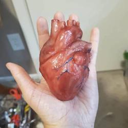 Organ Heart Mold for Candles, Soap, Chocolate, Resin, Gummy, Sugarcraft, Candy, Cupcakes - Kitchen Baking and Decorating Mould