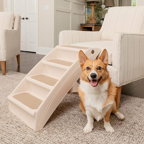 Lesure - Escaleras para perros pequeños, escaleras para mascotas para camas  y sofá, escalones plegables para mascotas con espuma certificada