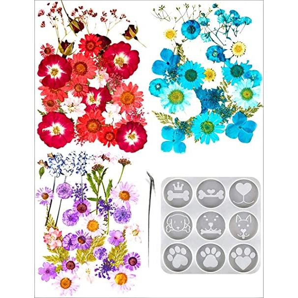 VORCOOL 15 Piezas de Flores Prensadas Secas Naturales Coloridas Pétalos de Hojas Prensadas Muestra Floral Mixta para La Joyería de Resina DIY Arte de Uñas Marcapáginas de Colores Surtidos 