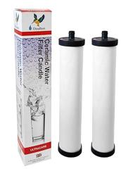 Doulton ¦ W9223031 ¦ UltraCarb SI Push Fit Drinking Water Filter with Scale Reduction. Compatible with Franke 03, 06 and Omni 4-in-1 Boiling Tap, Qettle 08, Carron Phoenix CP08 ¦ 1595 ¦ - Cantidad de paquete del producto 2
