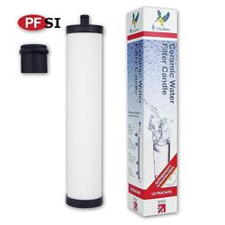 Doulton ¦ W9223031 ¦ UltraCarb SI Push Fit Drinking Water Filter with Scale Reduction. Compatible with Franke 03, 06 and Omni 4-in-1 Boiling Tap, Qettle 08, Carron Phoenix CP08 ¦ 1595 ¦ - Cantidad de paquete del producto 2