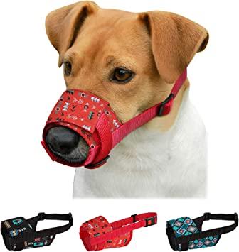 collar antimordeduras perro