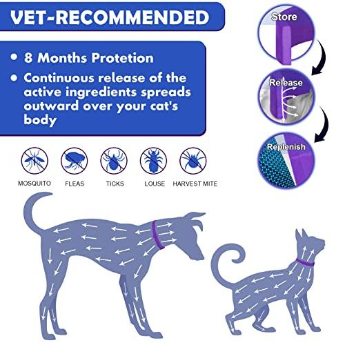 Purple Flea Collar for Cats, Cat Flea Tick Collar 2 Pack, Kitten Flea