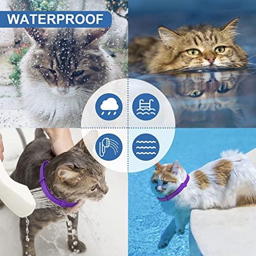 Purple Flea Collar for Cats, Cat Flea Tick Collar 2 Pack, Kitten Flea