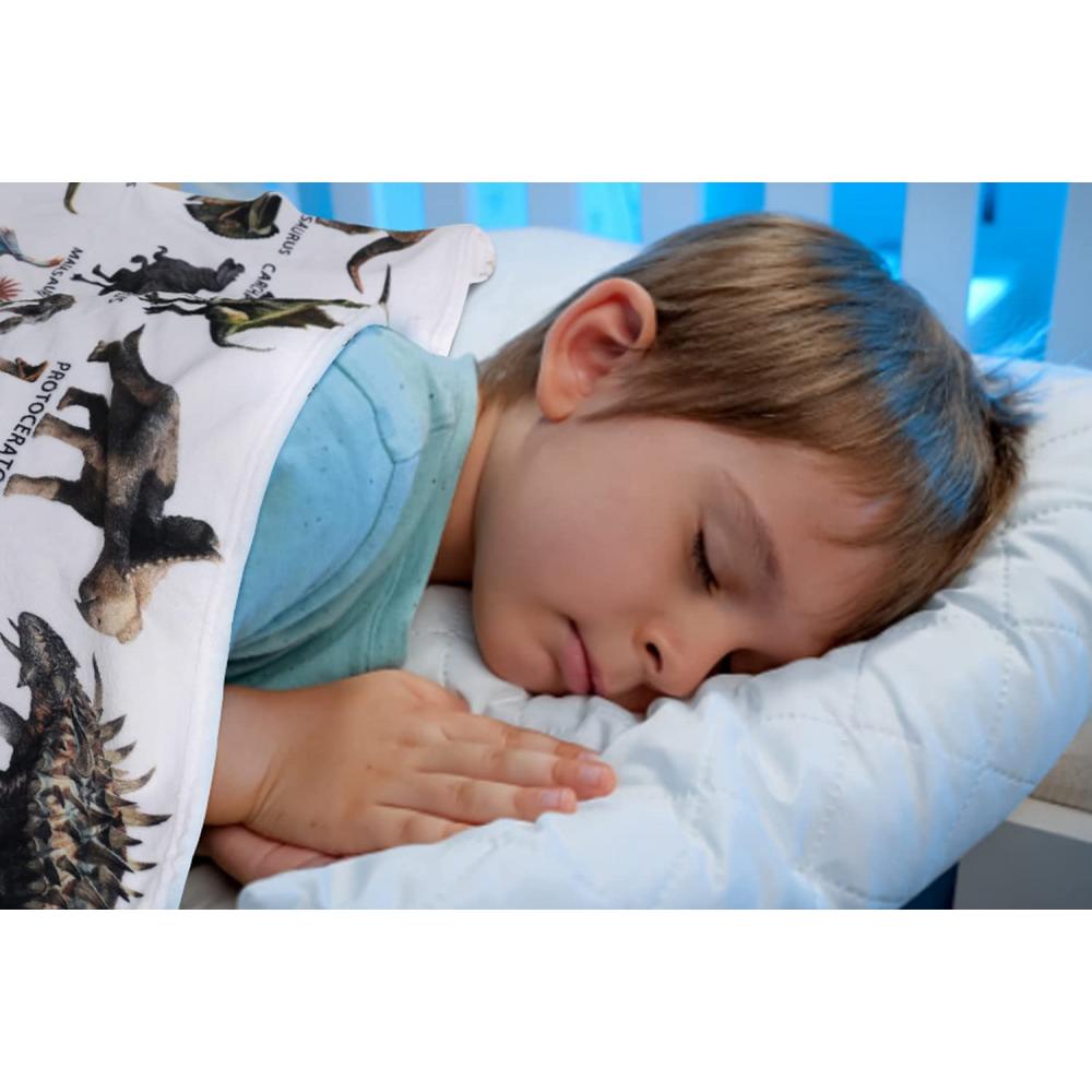 Manta de vellón de dinosaurio Manta de tiro impresa dinosaurio jurásico 3D reversible para niños niños adultos manta sólida de dibujos animados de felpa impresa para cama sofá 130x150 cm 