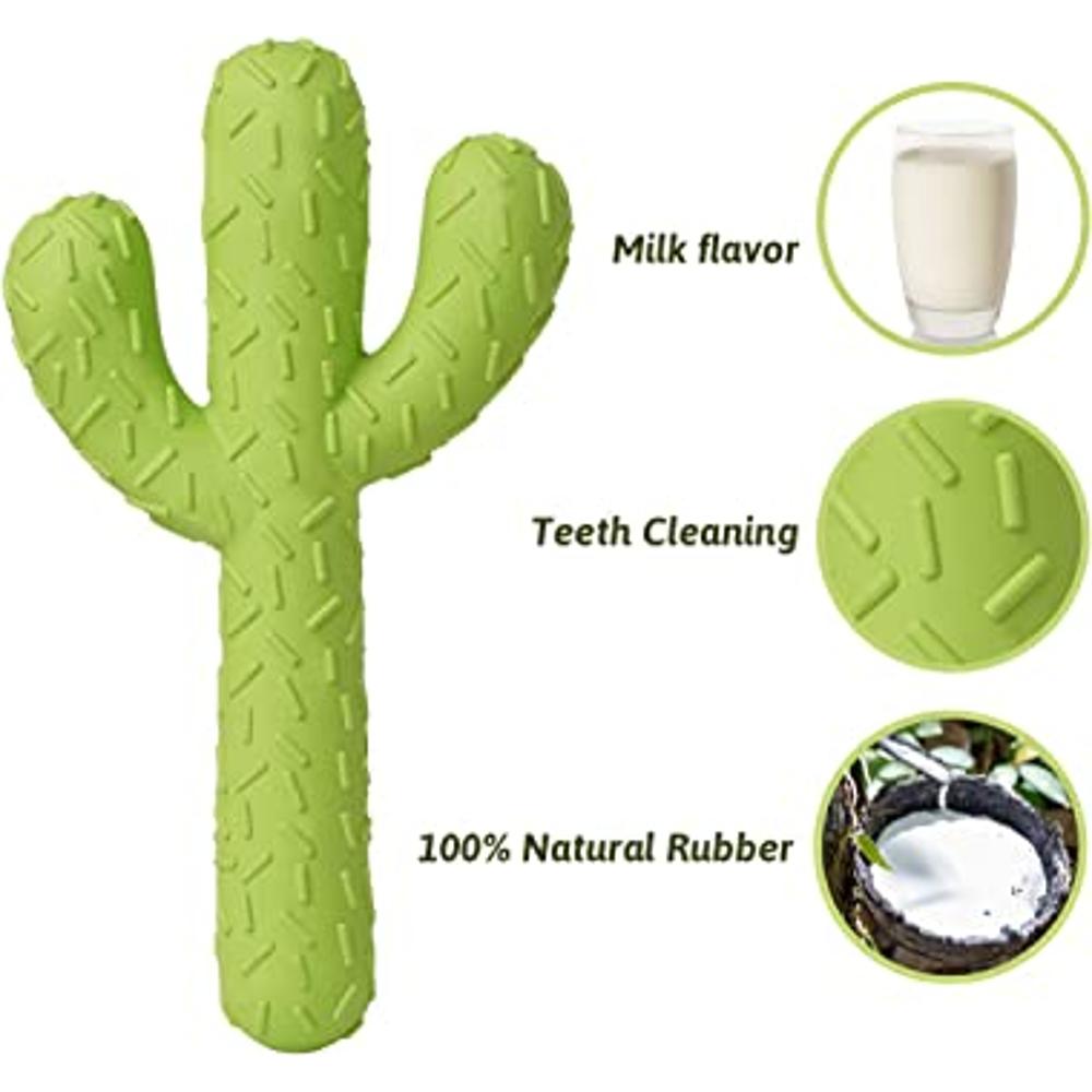 MewaJump Juguetes para masticar perros, juguetes de goma duraderos para  masticadores agresivos, juguetes resistentes de cactus para entrenar y  limpiar los dientes, juguetes interactivos para perros pequeños y medianos  : Precio Guatemala