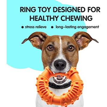 Lenwen 24 bolas chirriantes para perros, juguetes chirriantes para perros,  juguetes de goma para perros, juguetes masticables para cachorros, juguetes