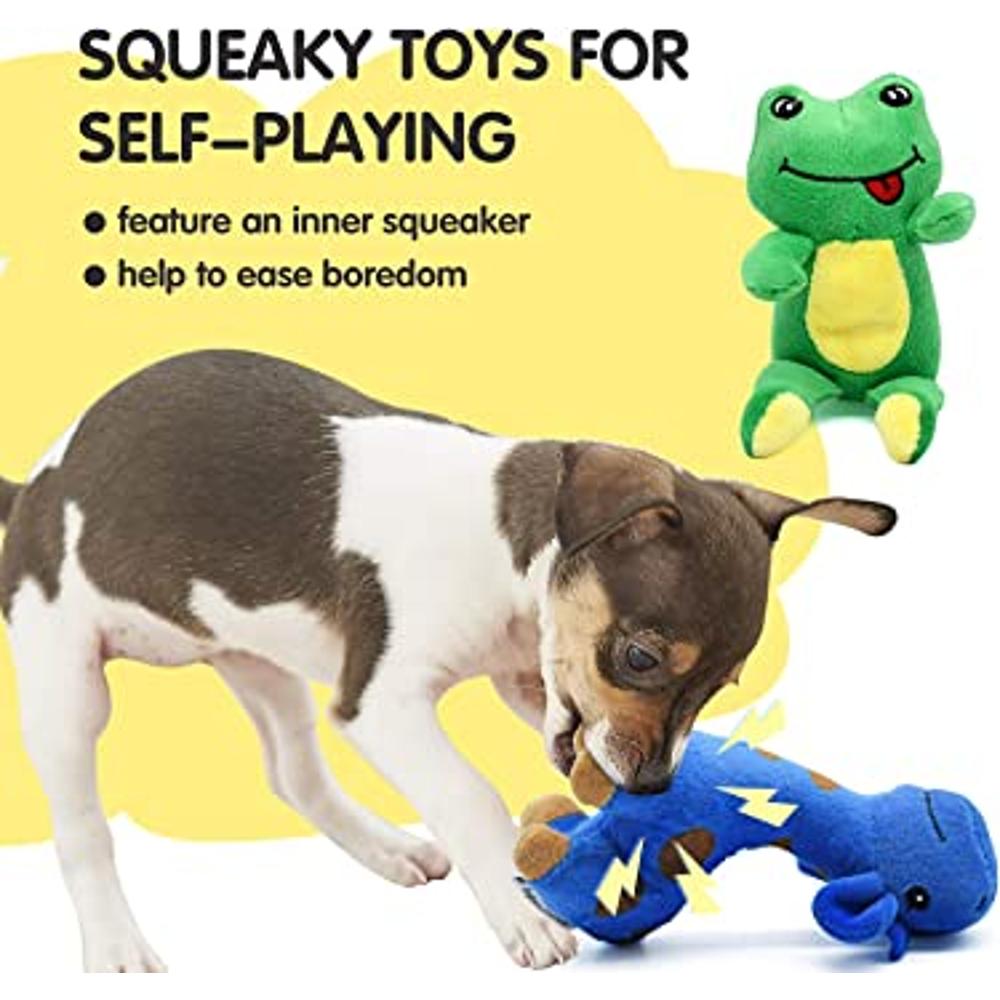 Juguetes para Perros, Juguetes Interactivos para Cachorros, Juguetes de  Snuffle, Juego de Dispensación de , Juguetes para Masticar, a , Verde  Yinane Juguetes para masticar mascotas