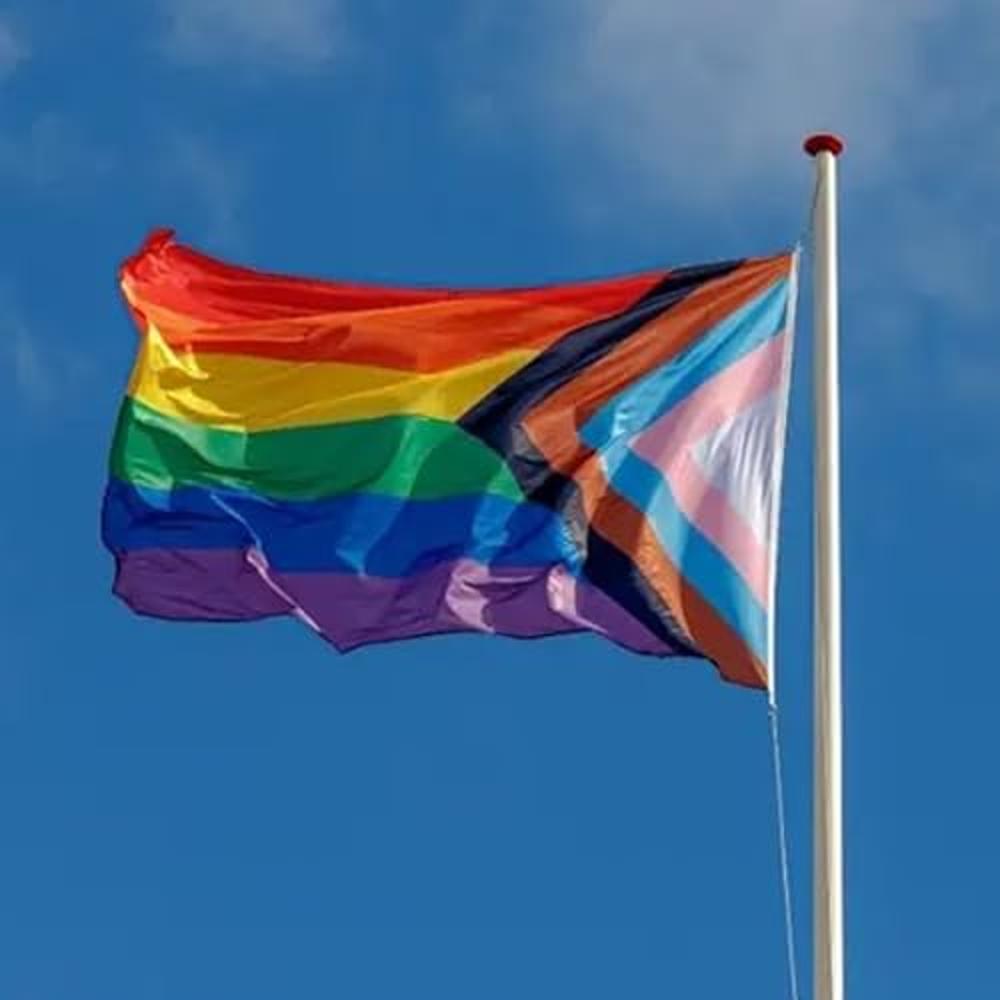 Progress Pride Rainbow Flag 3x5 Outdoor All Inlcusive Progressive Pride 100d Bisexual Lgbtq Non