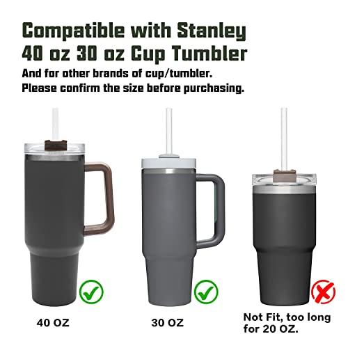  Replacement Straw Compatible with Stanley 40 oz 30 oz Cup  Tumbler, 6 Pack Reusable Straw with Cleaning Brush, Plastic, Clear : Health  & Household