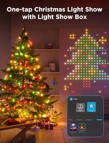 Christmas Light Show Kit 