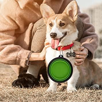 Cuenco plegable para perro 800 ml, verde azulado ligero portátil apto para alimentos y viaje con mosquetón resistente de alta calidad para mascotas de tamaño mediano a grande aletas 