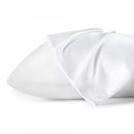 Bedsure Satin Pillowcase for Hair and Skin, 2-Pack - Queen Size (20x30  inches) P