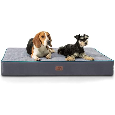  BFPETHOME - Camas para perros grandes, cama ortopédica para  perros medianos y grandes, cama de espuma para perros : Productos para  Animales