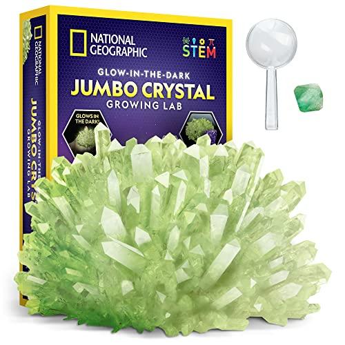 Kit De Cultivo De Cristales Dr. Daz Con 4 Modelos De Erizo – Juego Científico Para Niños De 6 A 10 Años, Educativo Y Divertido