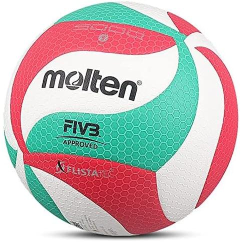 Balones de voleibol de interior – Pelotas de voleibol ecológicas de Elite  Peformance – Tamaño 5 Reglamentación Pelotas de voleibol para hombres y