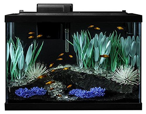 Tetra ColorFusion Aquarium 20 Gallon Fish Tank Kit, Includes LED
