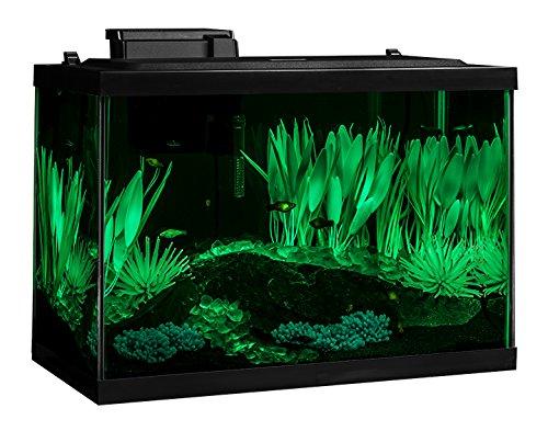 Tetra ColorFusion Aquarium 20 Gallon Fish Tank Kit, Includes LED