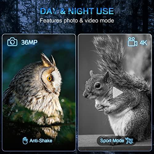 Gafas de visión nocturna con pantalla de apagado automático - Prismáticos  infrarrojos de visión nocturna digital para adultos Visión nocturna de caza  4k con 7 niveles de brillo, 3,2 