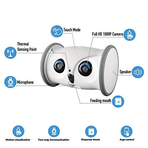 SKYMEE Owl Robot: Cámara móvil para mascotas Full HD con dispensador de  golosinas, juguete interactivo para perros y gatos, control móvil mediante  aplicación - Color blanco : Precio Guatemala