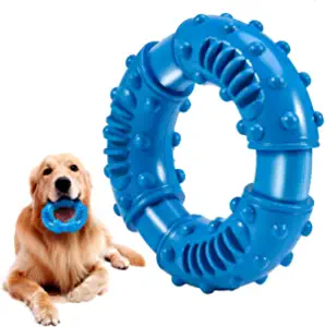 Juguetes para perros para masticadores agresivos Juguetes interactivos para  perros de razas gra CACAGOO Juguetes para perros